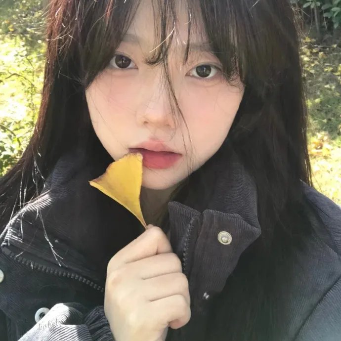 费丽希缇